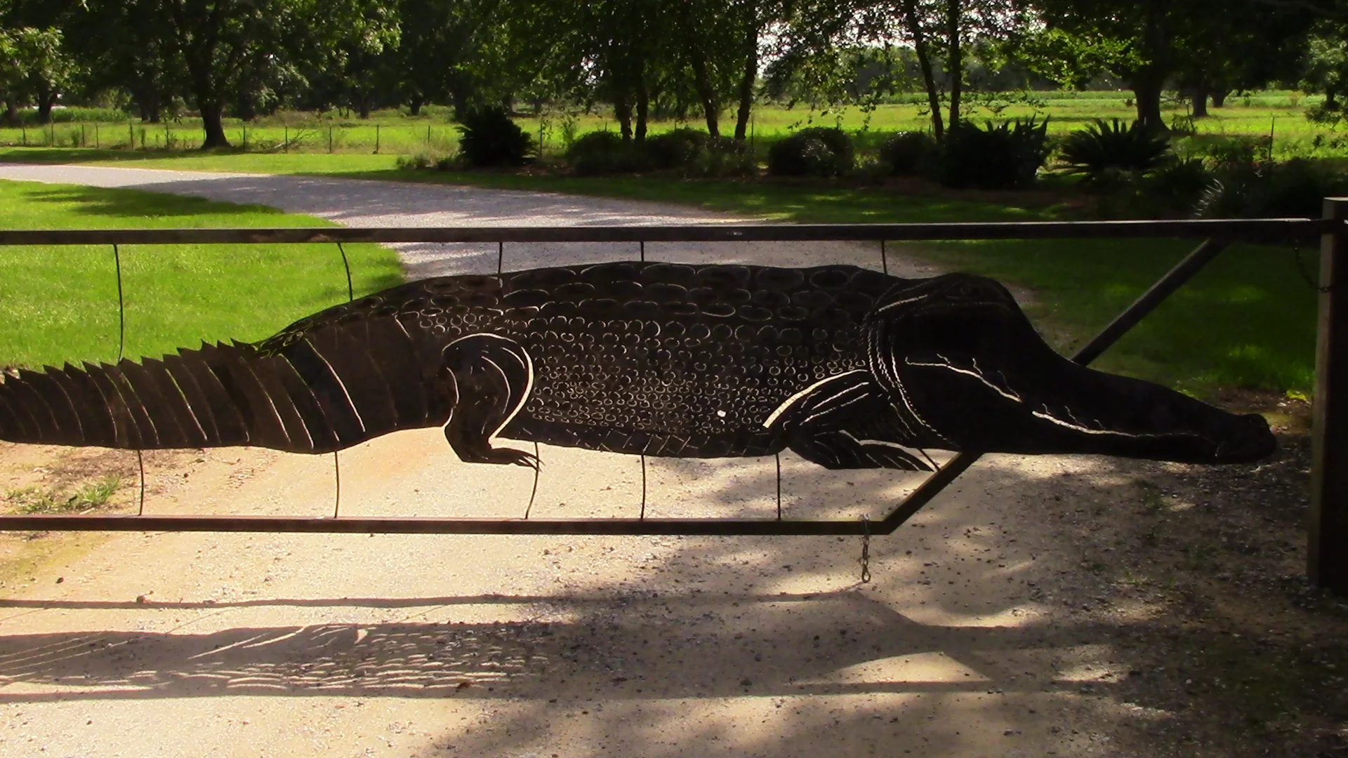 BAY CAMP 2015 654.JPG