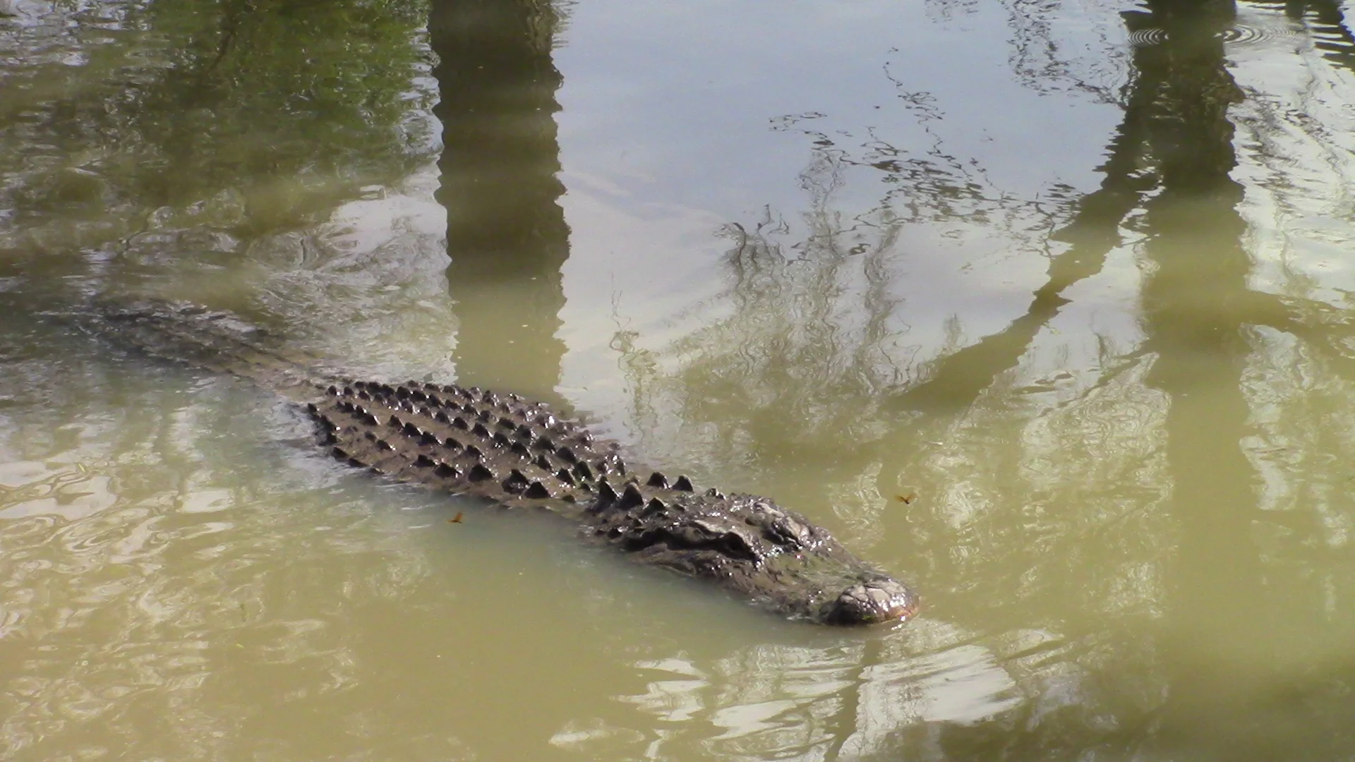 BAY CAMP 2015 663.JPG