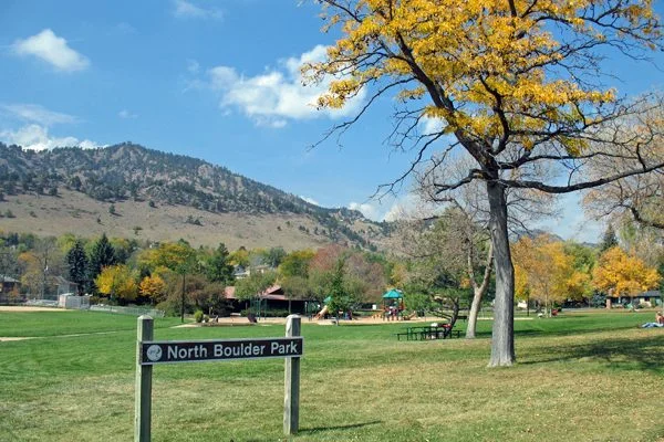 NewlandsNew-600x400.jpg