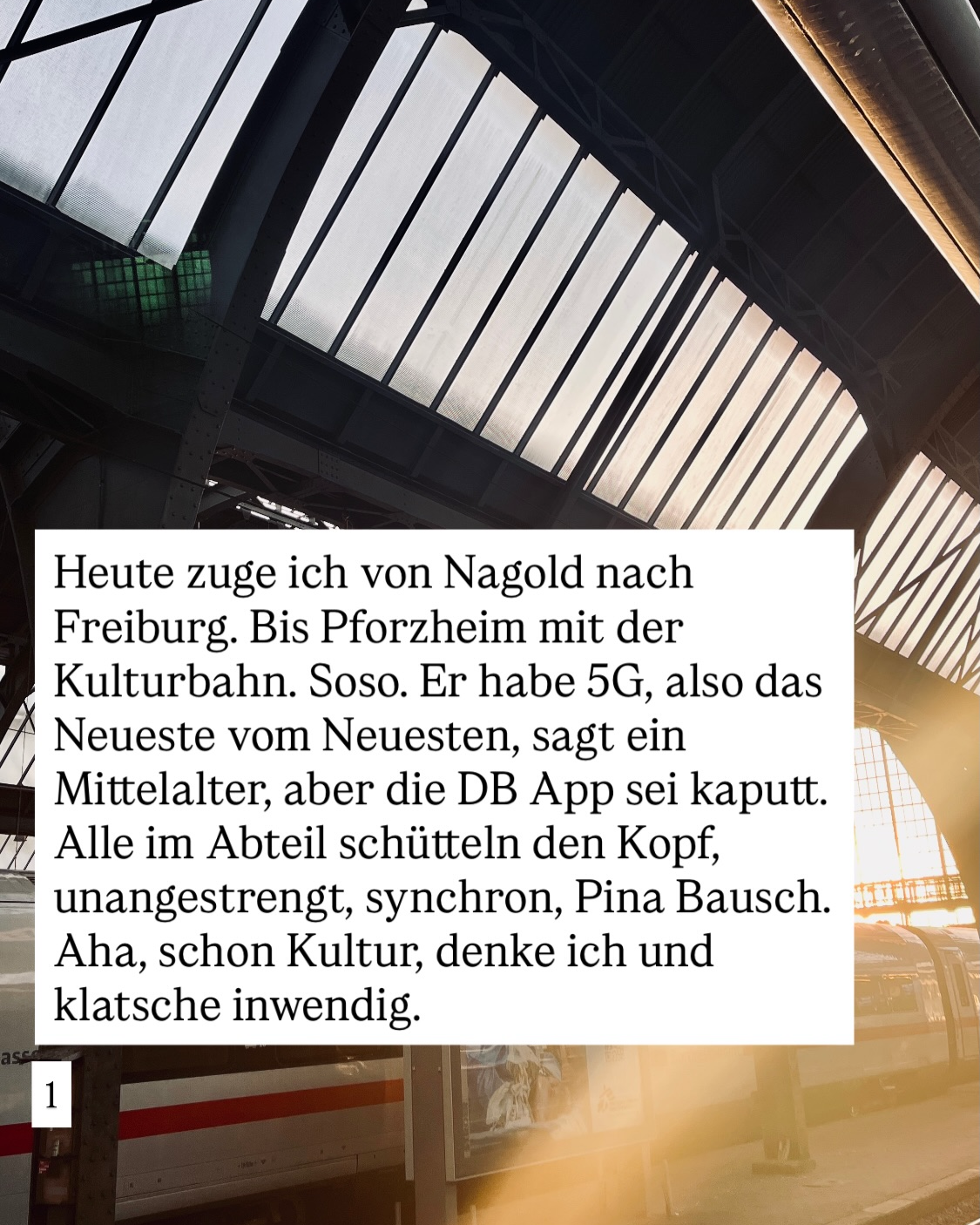 IMG_5984.png
