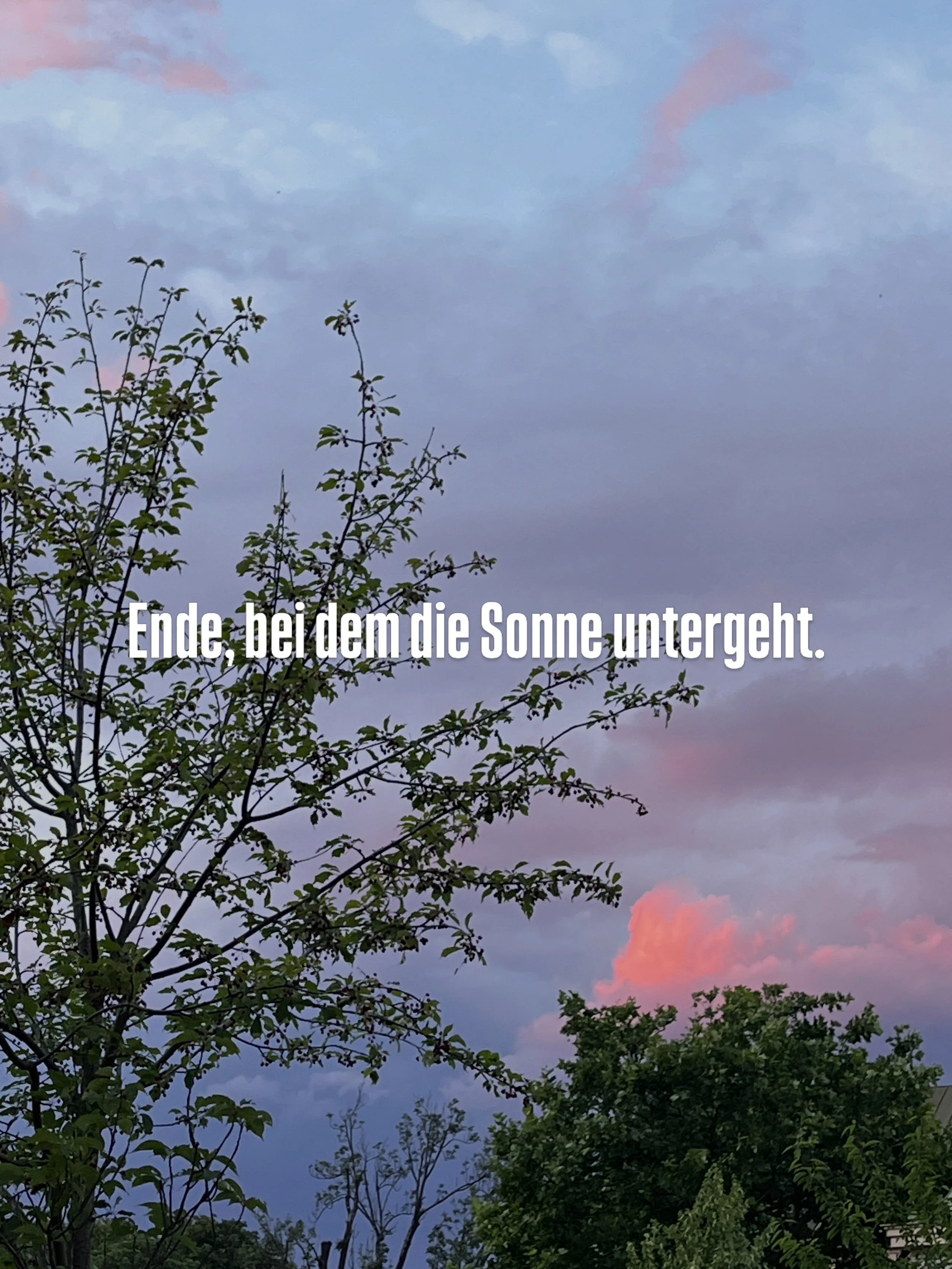 D02724FD-70CD-47E0-B3BB-B4EAE06713F5.JPG