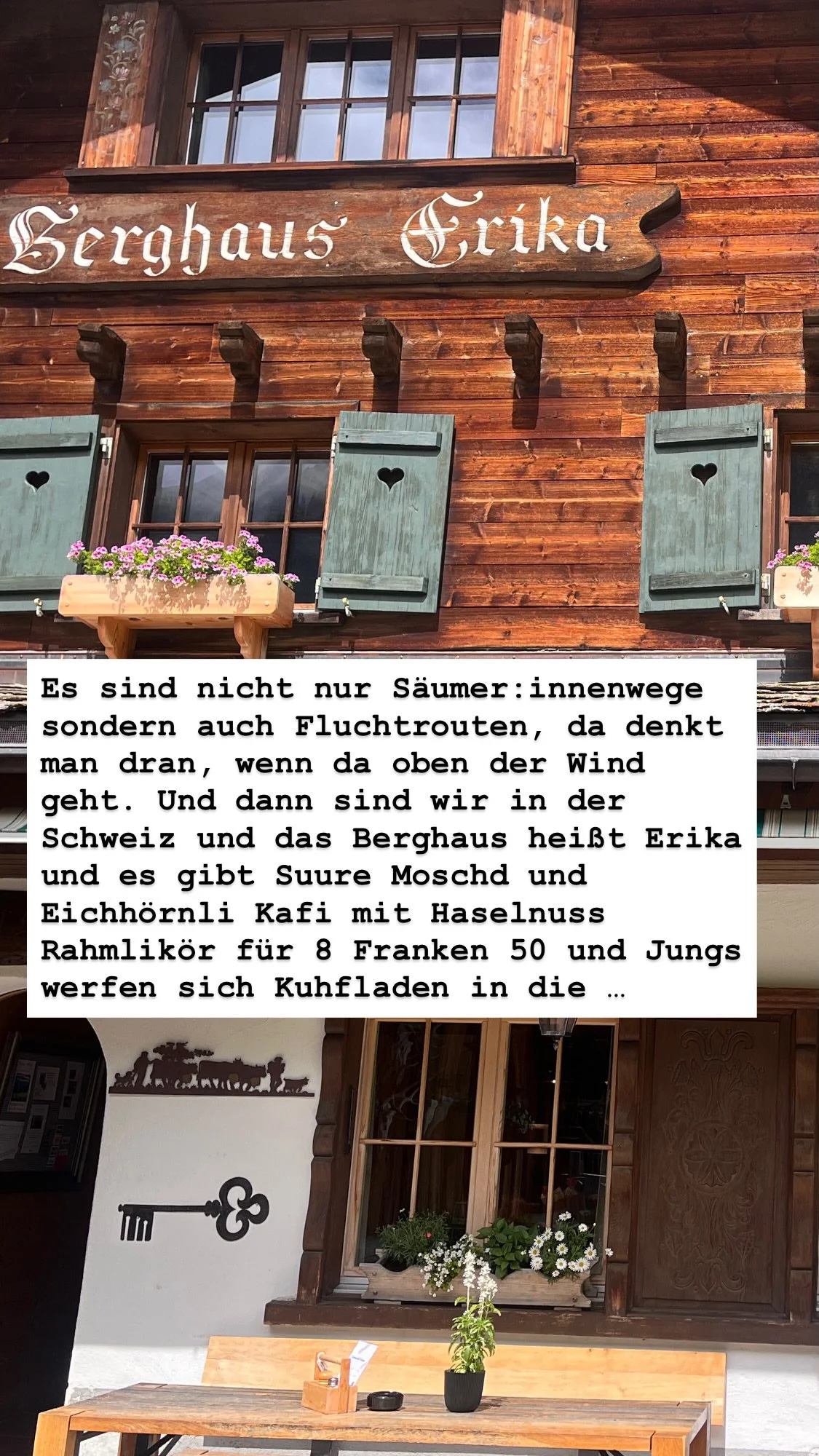 DBB99518-0779-43E1-B94A-E6989FFC0AE5.JPG