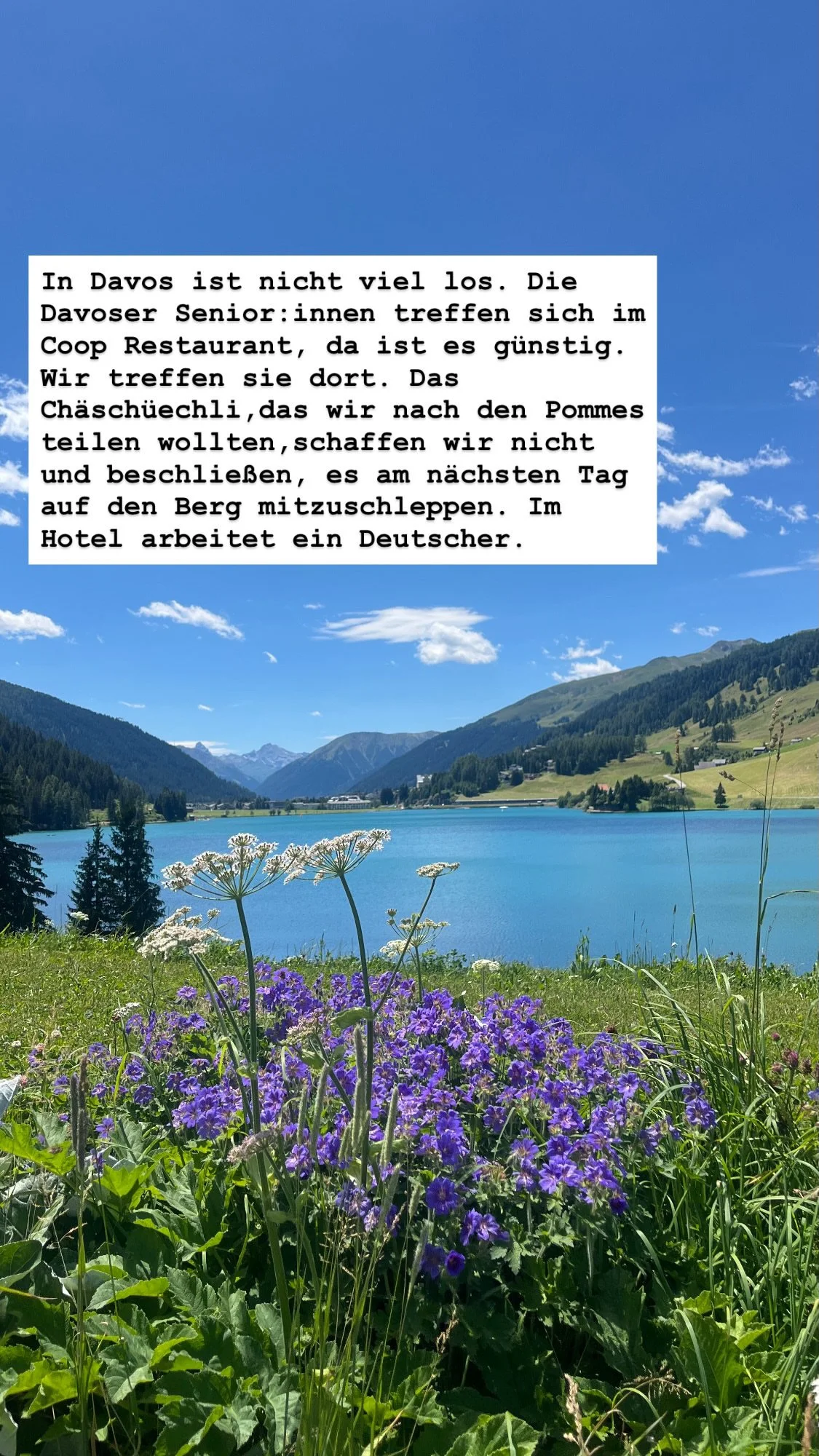 635ECD1A-DD74-4237-AD9E-4470ADB94CAD.JPG