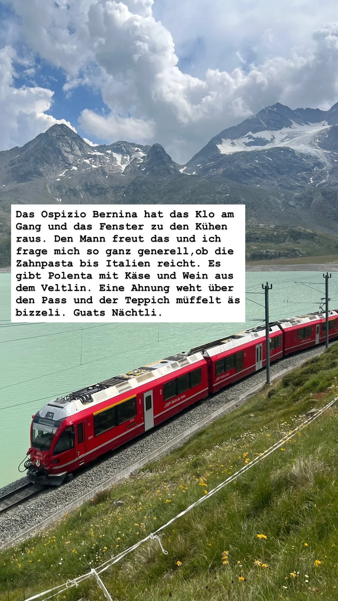 D70F8C95-3492-40CC-83F8-1BB39BF1ED4A.JPG