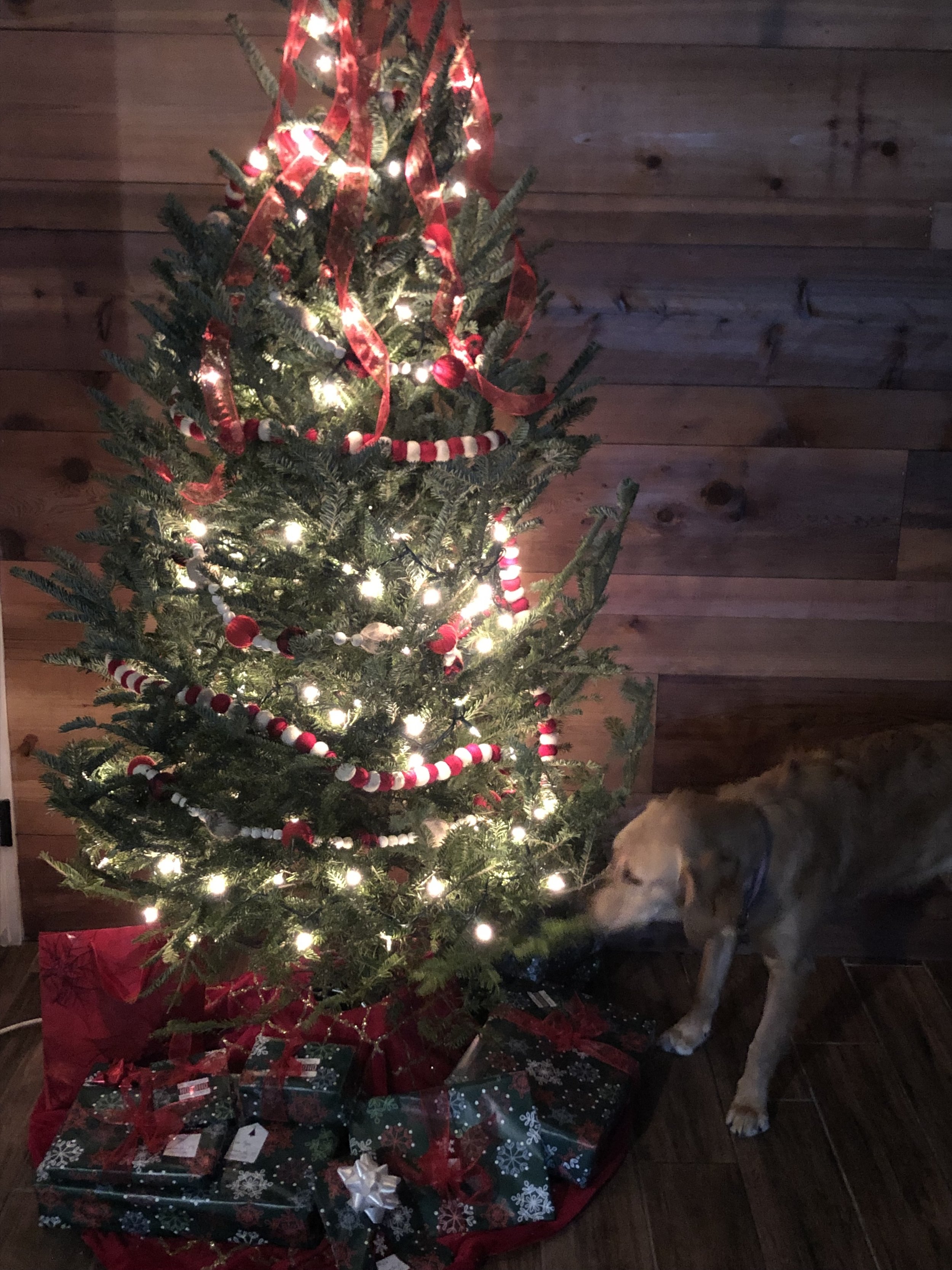 Smell the aroma of Christmas