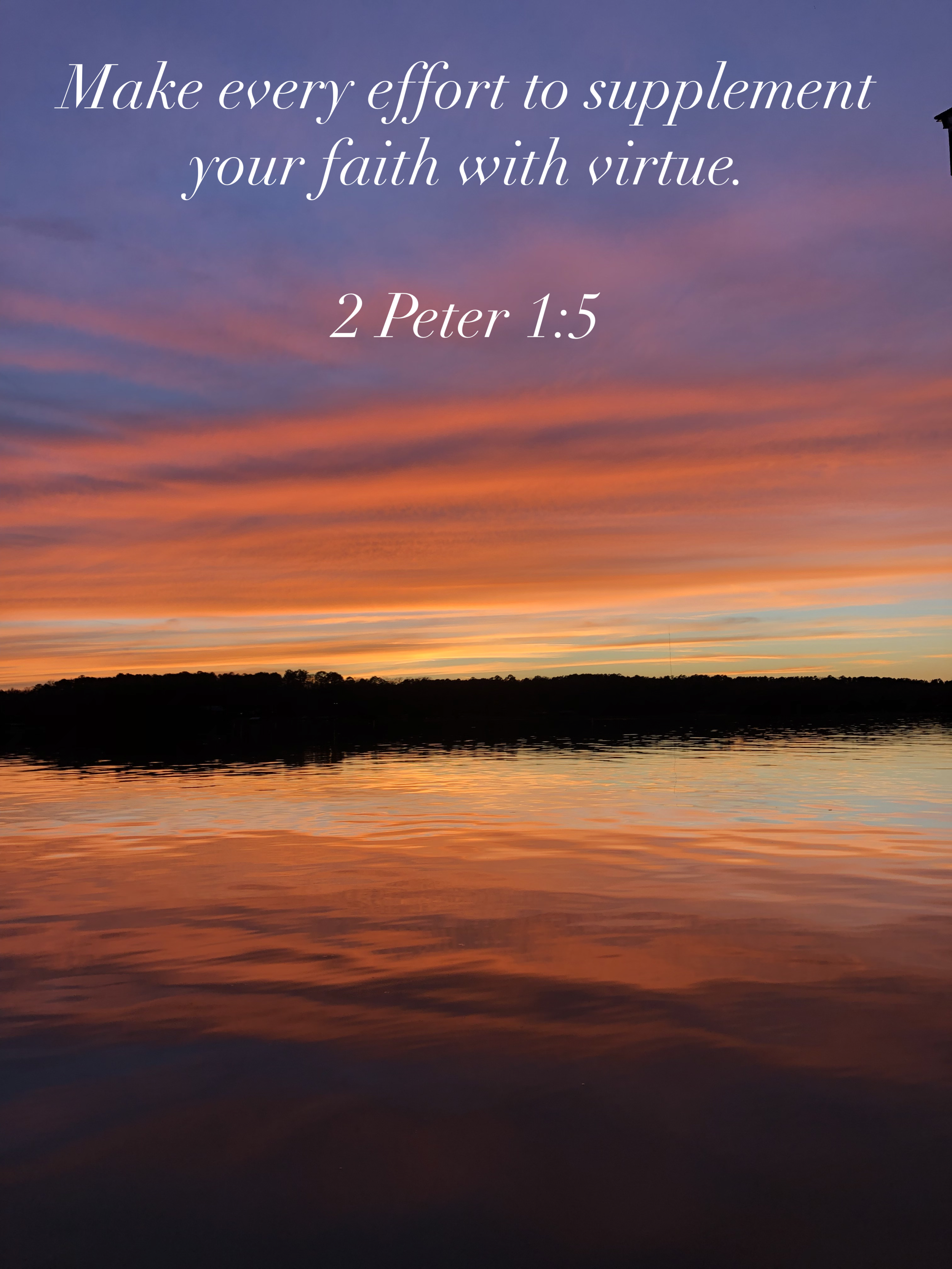 IMG_0542.PNG