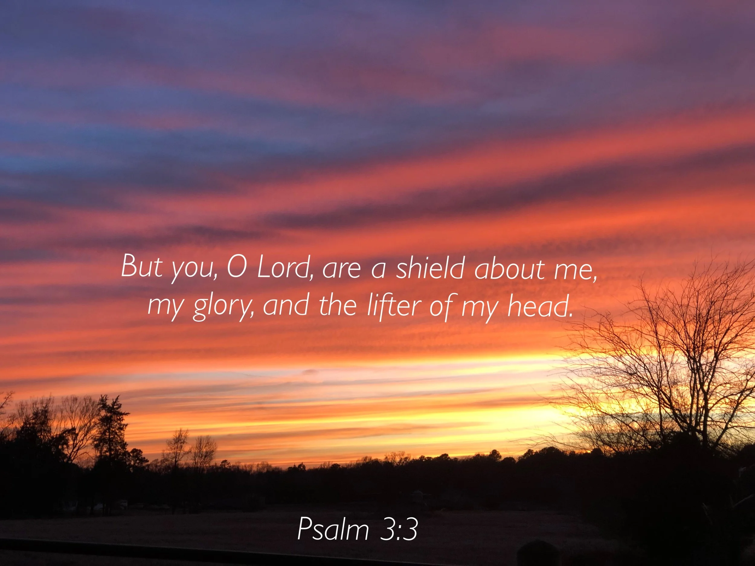 Daily Prayer