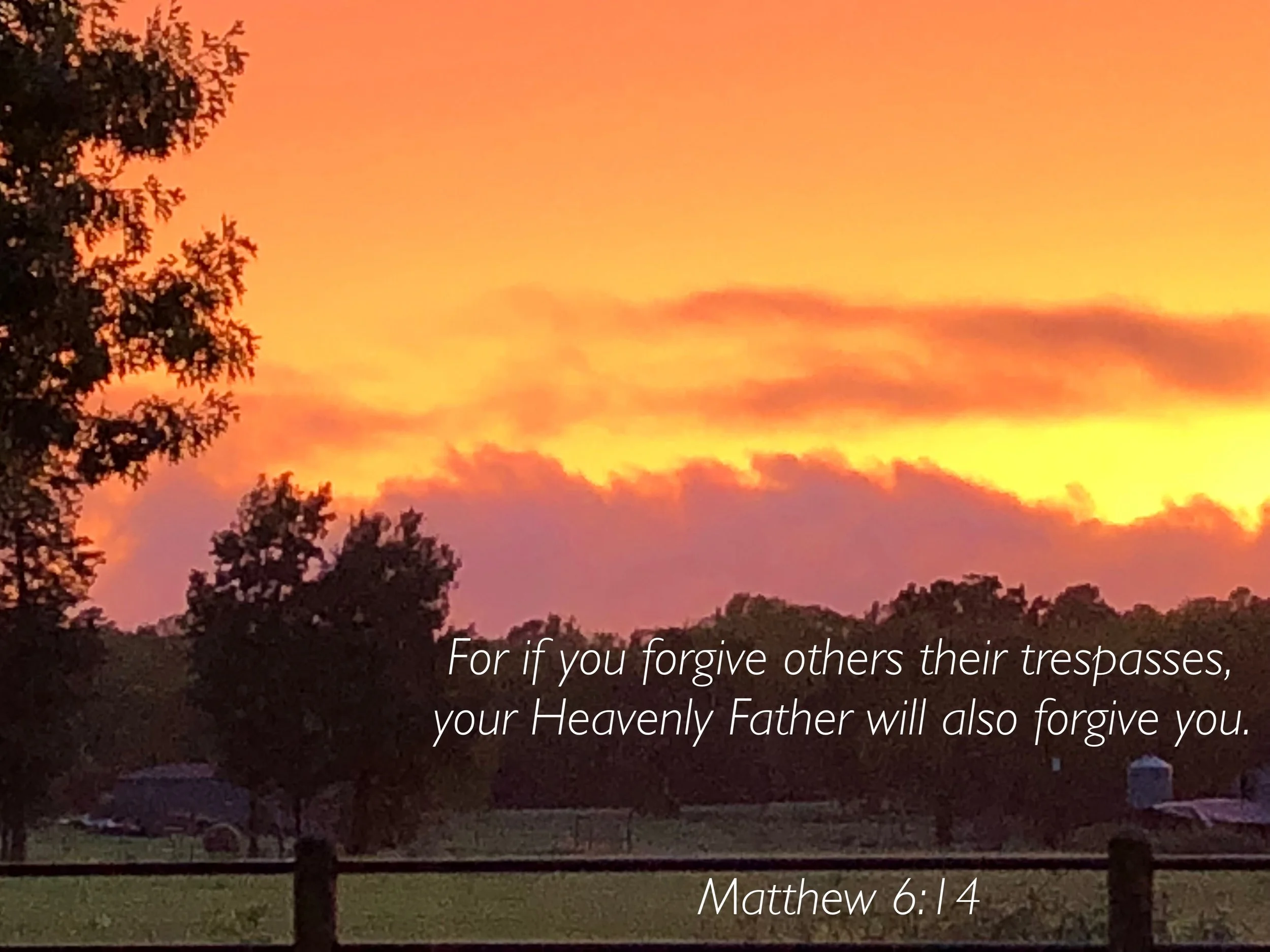 Daily Prayer 