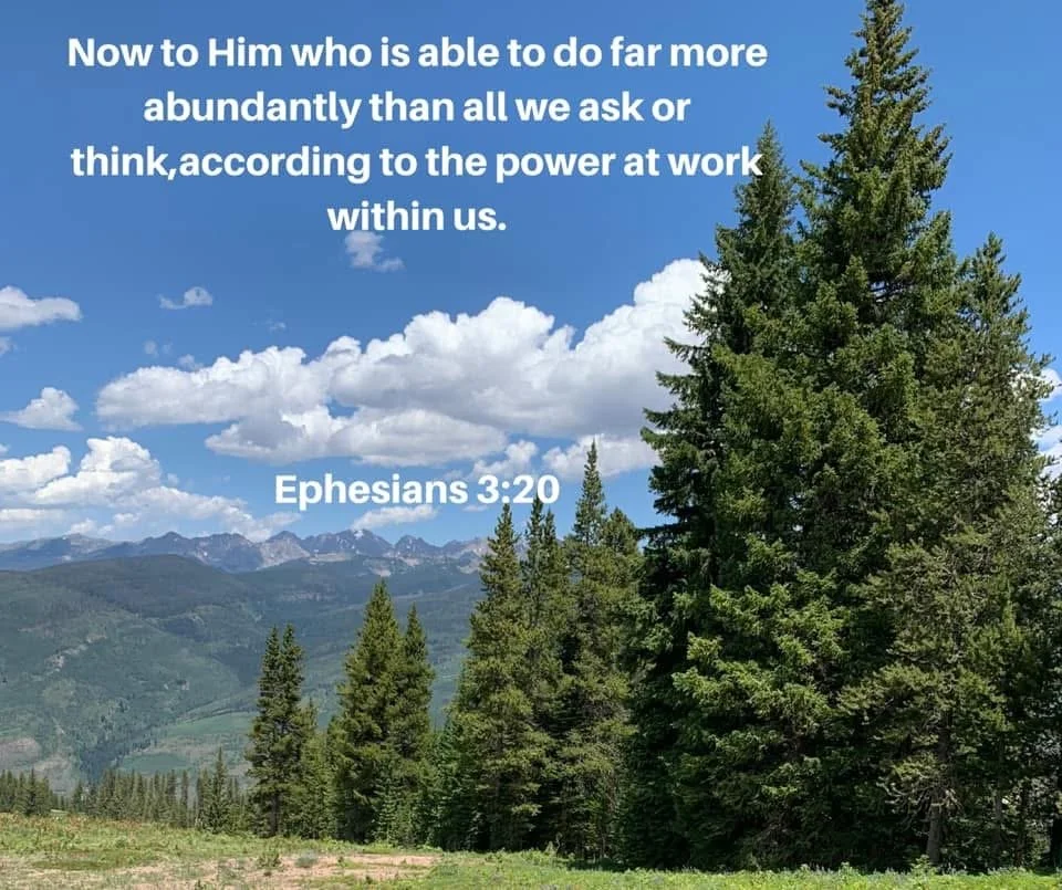 IMG_4469.jpeg