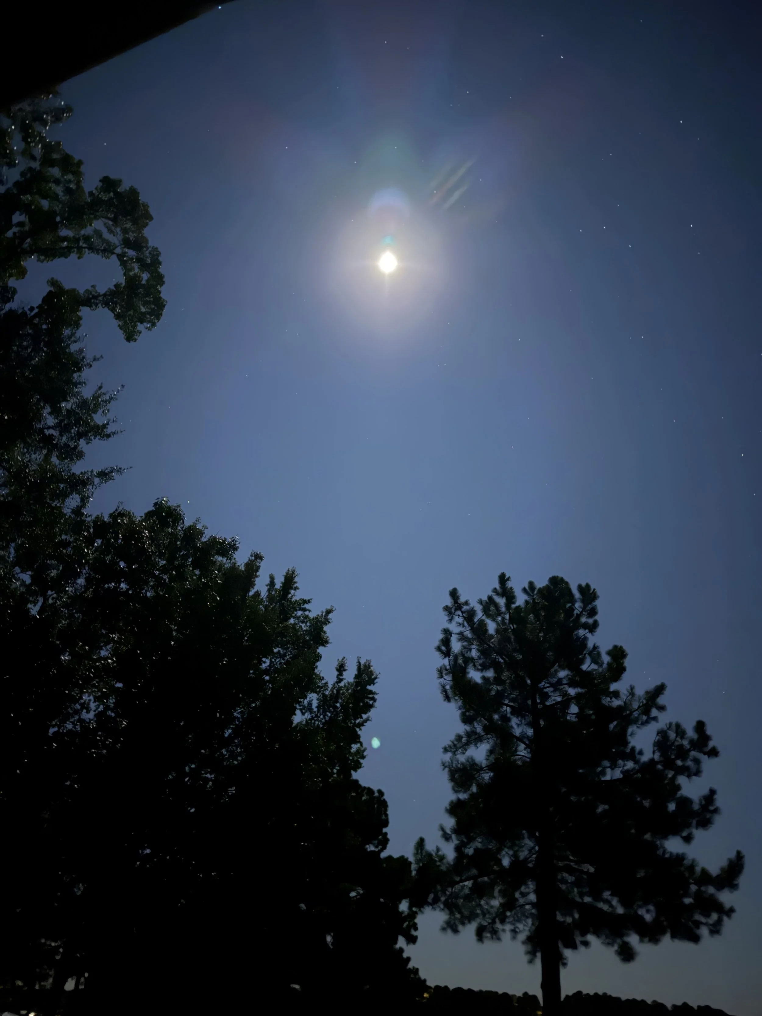 IMG_3880.jpeg