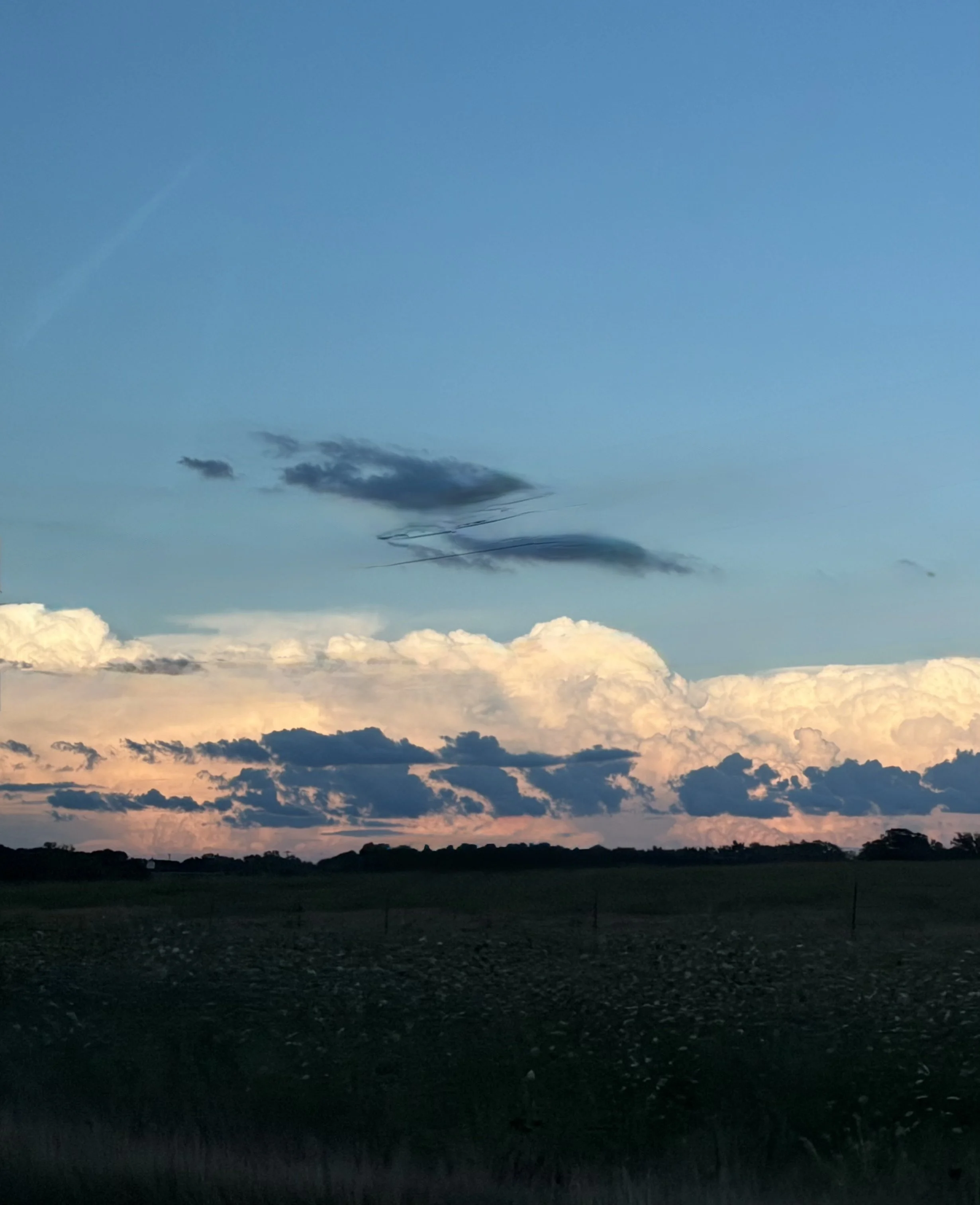 IMG_3180.jpeg