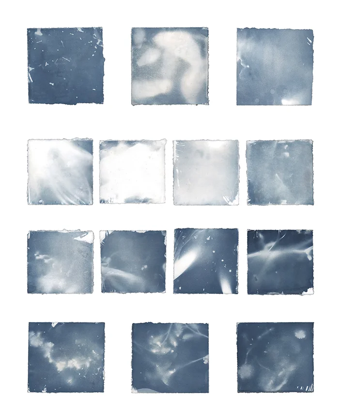 Klawitter_Allie_Diplay_Cyanotypes(2).jpg