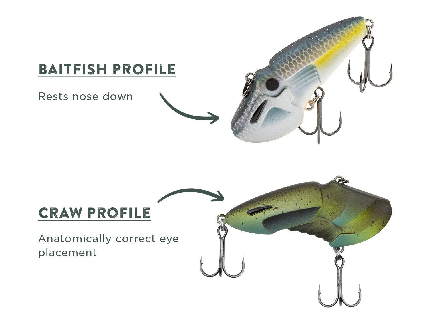 Feature-RattleBot-BaitfishCraw-02.jpg