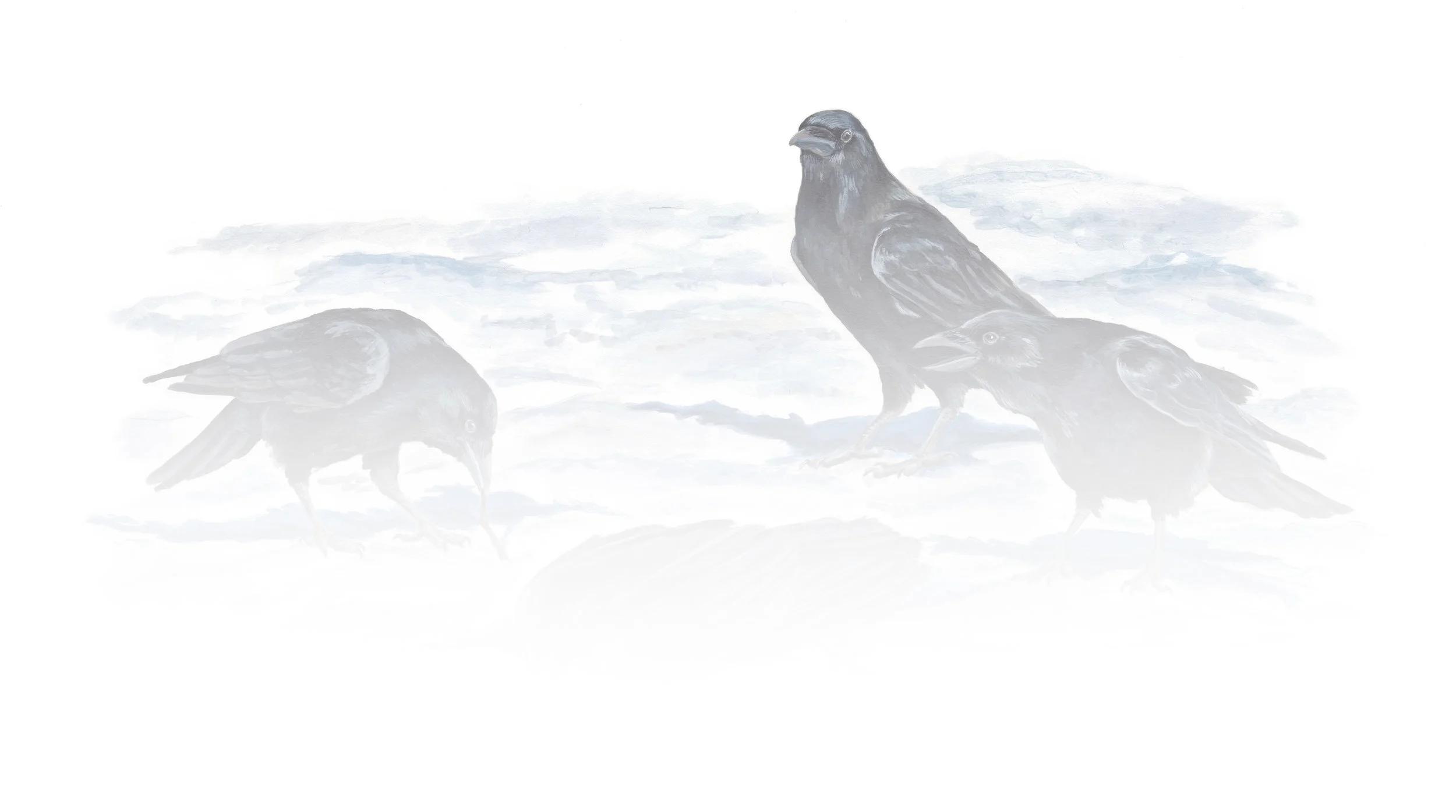 crow funeral_bkg.jpg