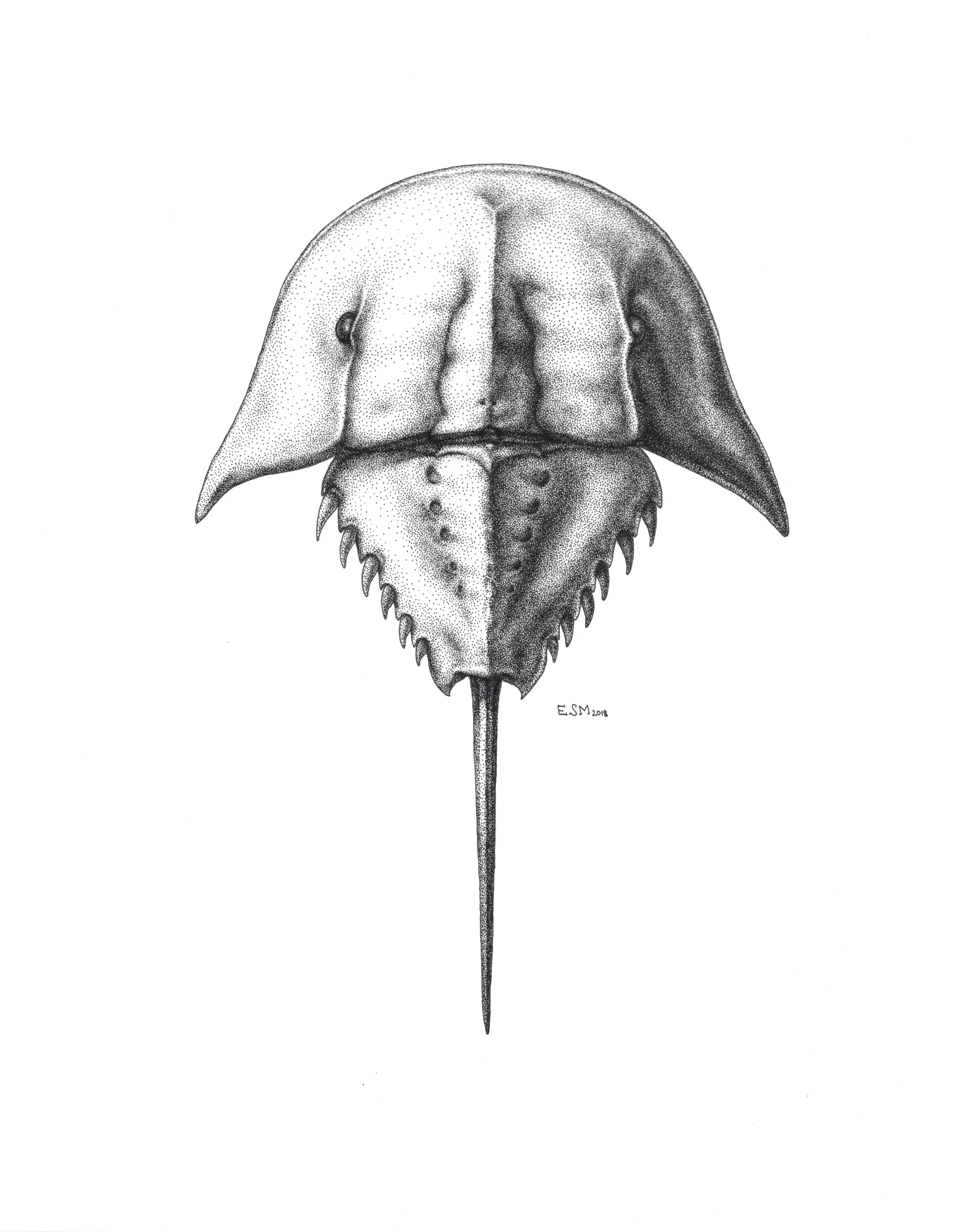 {El}
