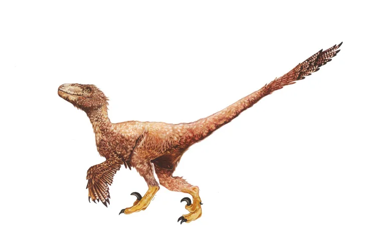 Bayla_Arietta_Deinonychus_1.jpg