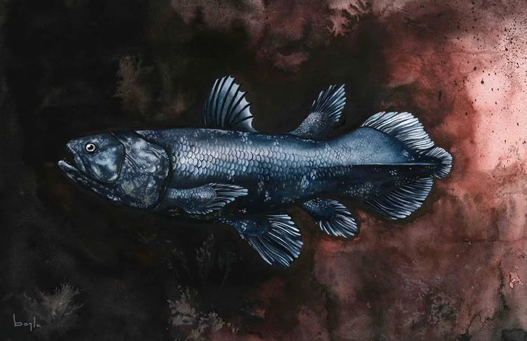 Bayla_Arietta_Coelacanth.jpg