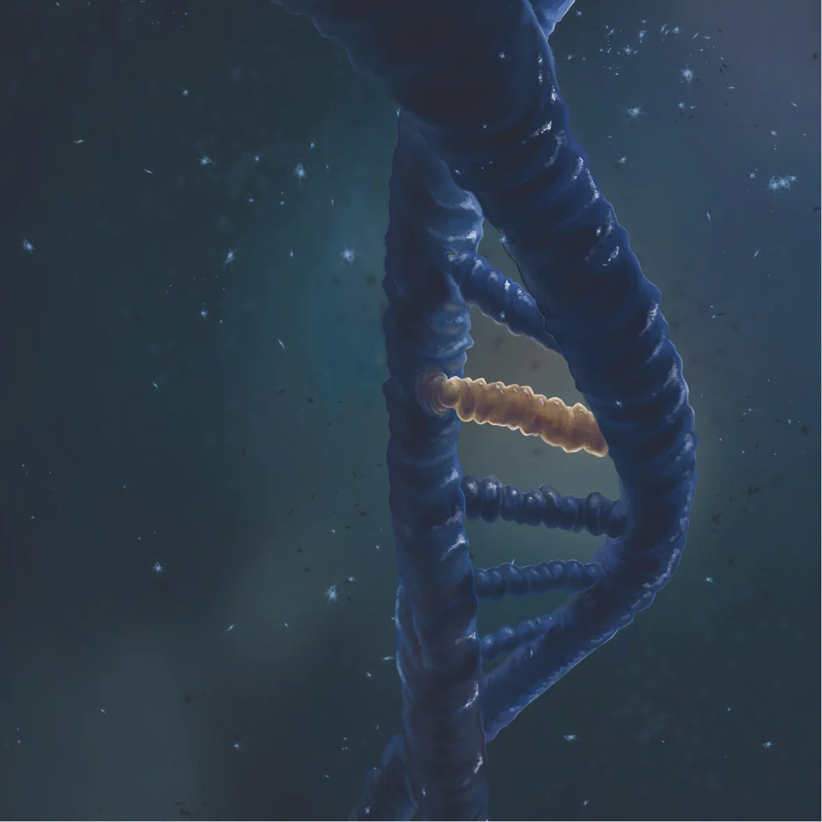 DNA_Digital_JournalCover_2018 - Tal Bavli.jpg