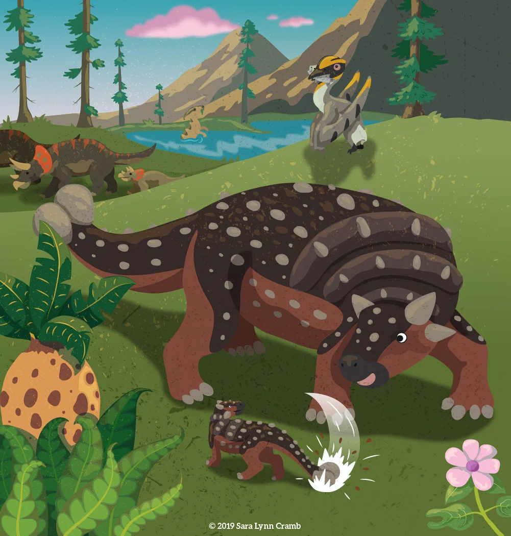 2 ankylosaurus - Sara Lynn Cramb.jpg