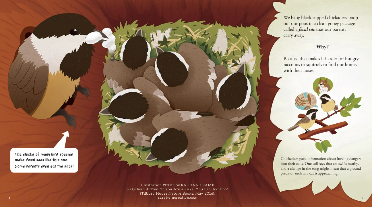 4 chickadee - Sara Lynn Cramb.jpg