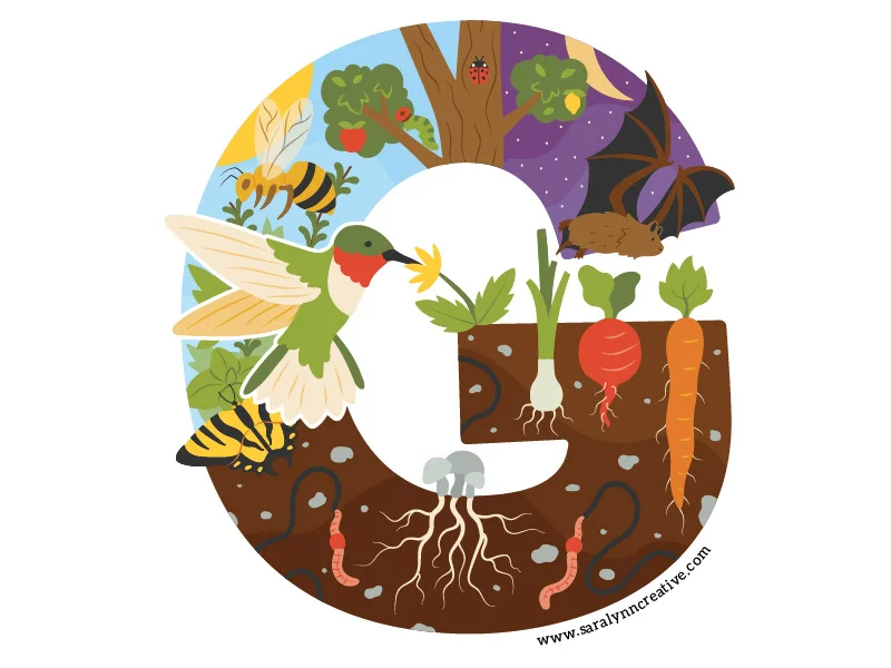 8 Preschool Gardening Program logo - Sara Lynn Cramb.jpg