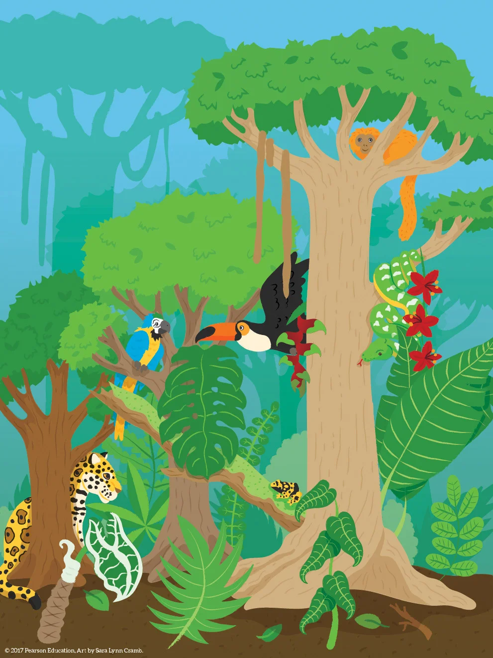9 rainforest - Sara Lynn Cramb.jpg