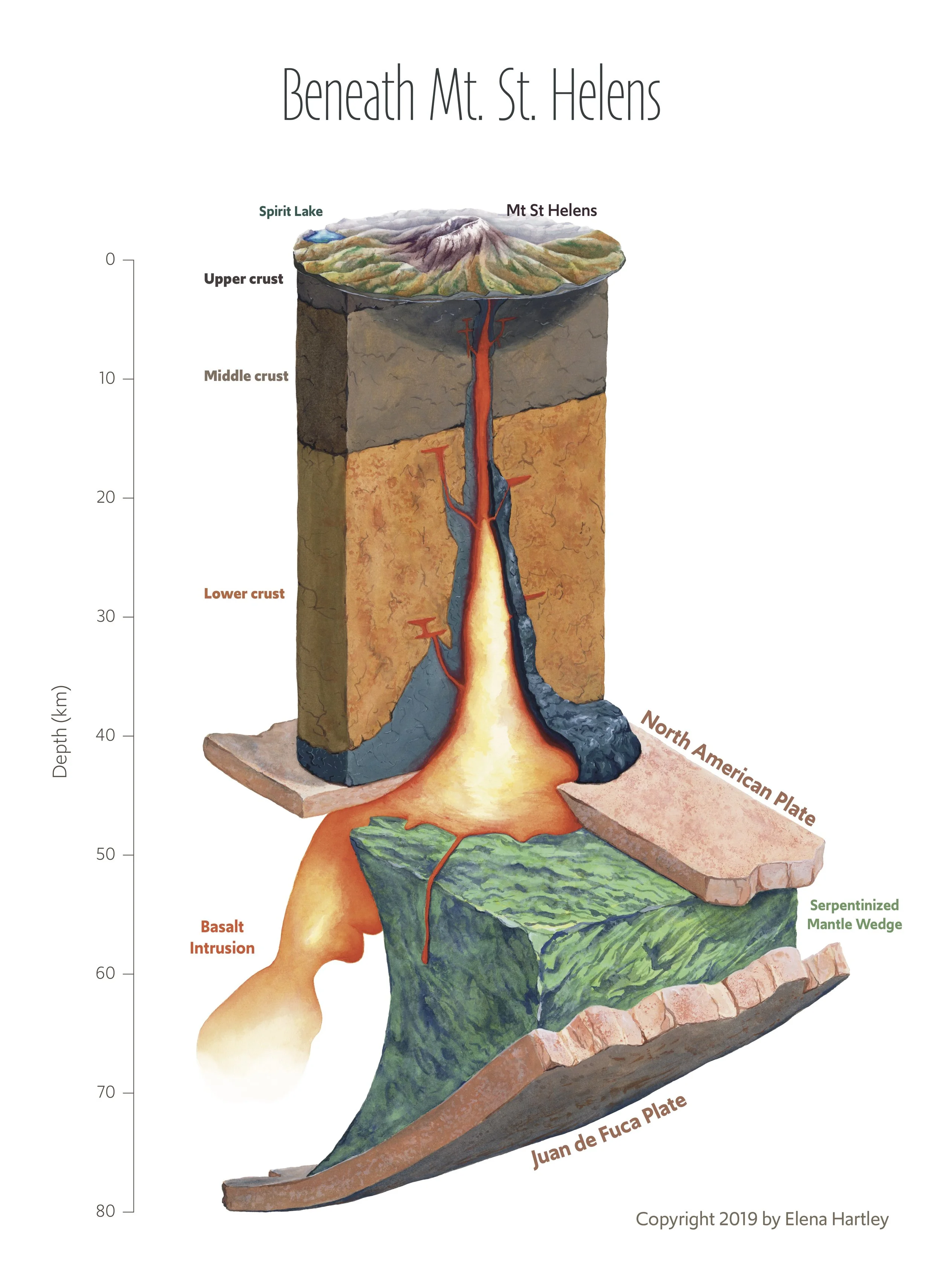 Elena Hartley