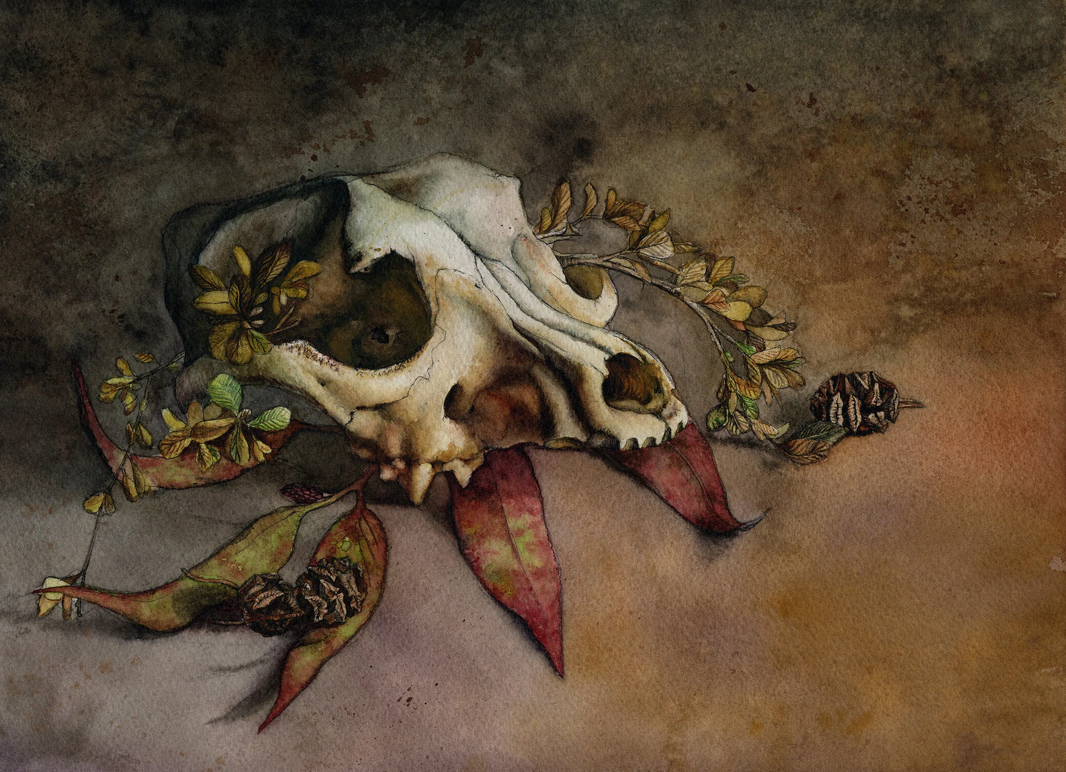 Dog Skull.jpg