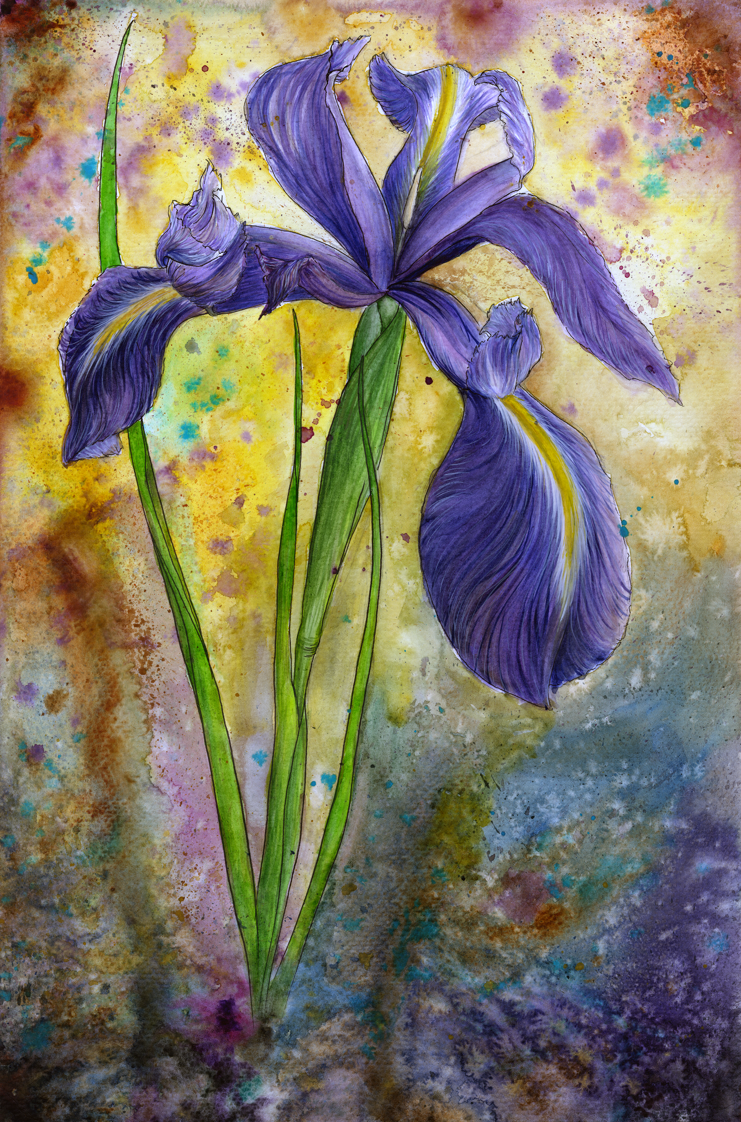 Iris_small.png