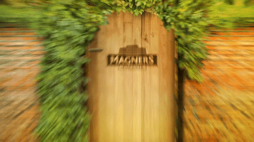 Animations_Magners_Intro.gif