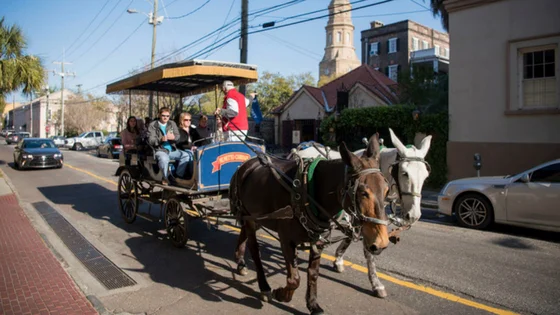 horsecarriage.jpg