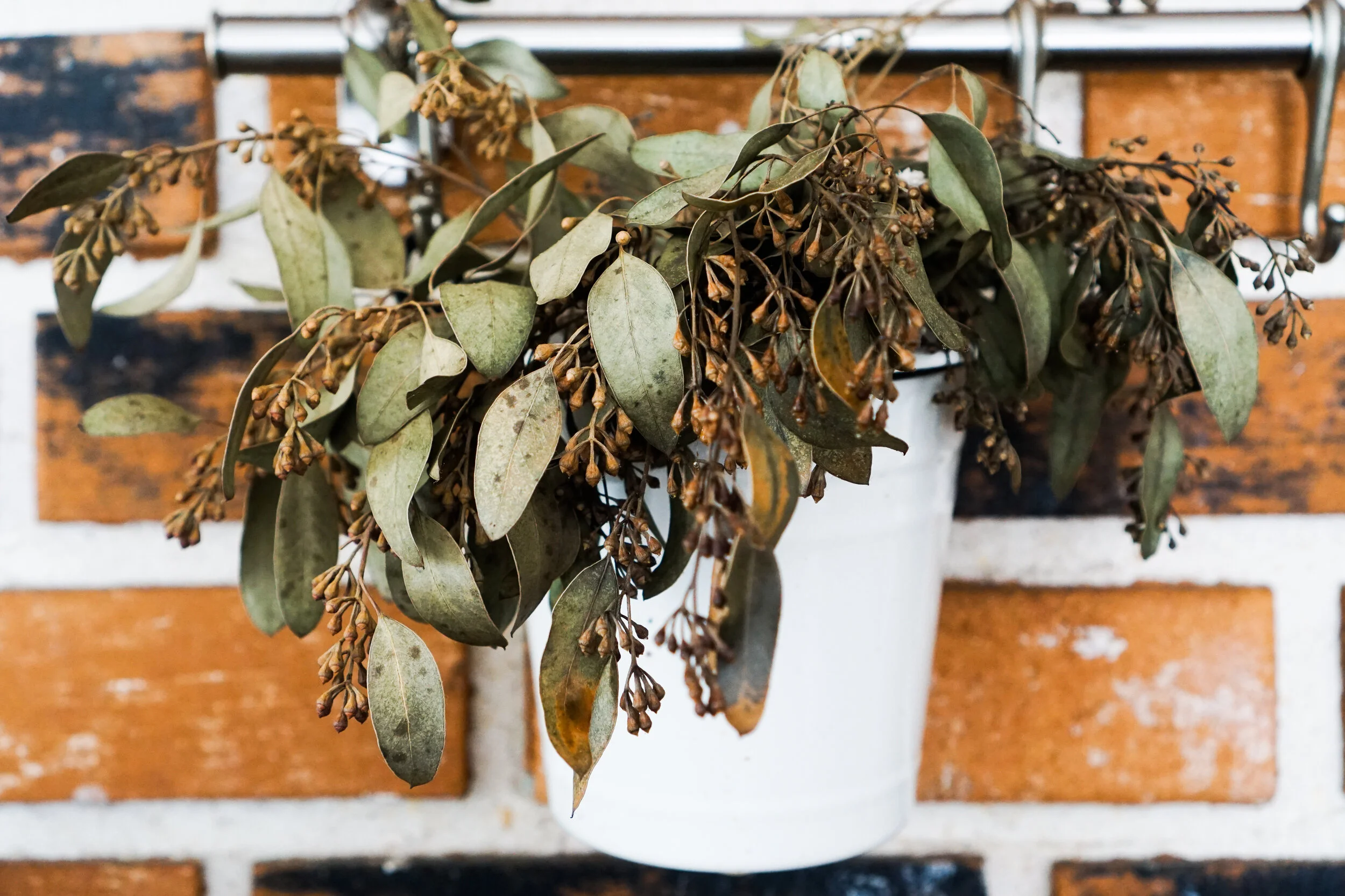 Three Lexington Women