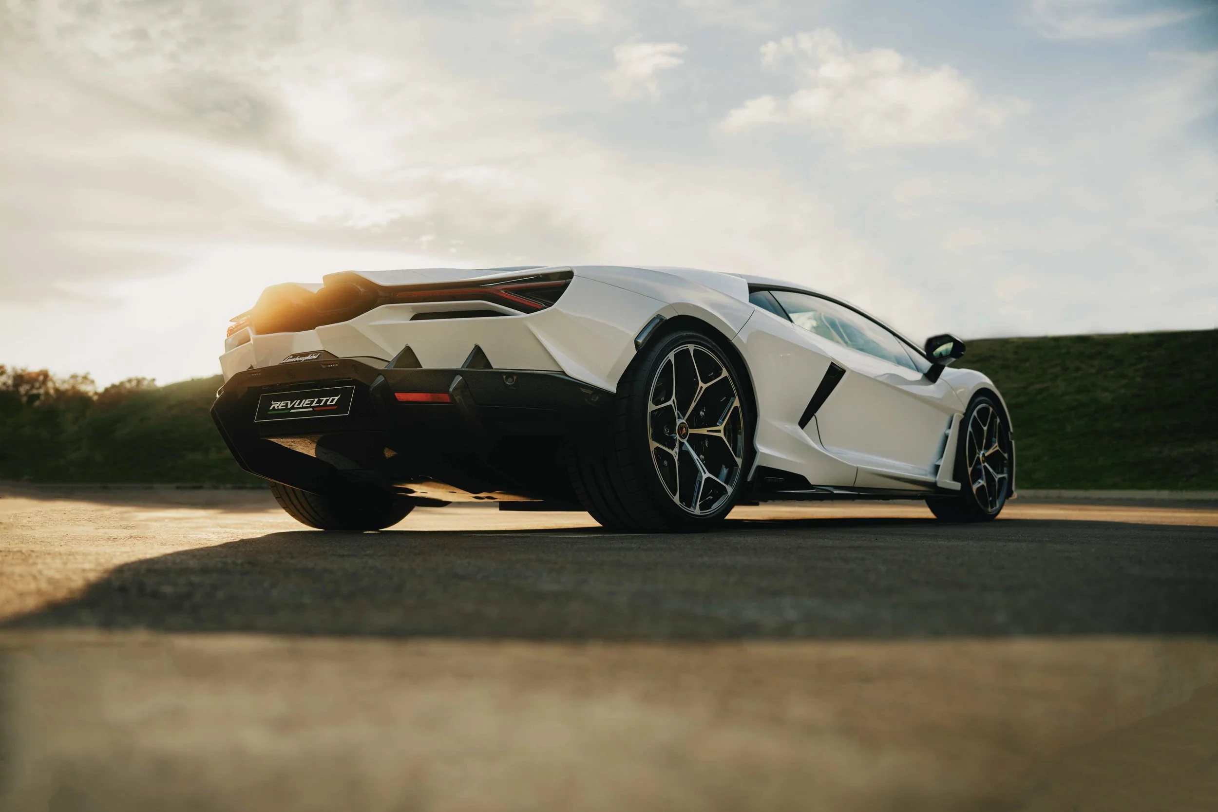 SJP_Revuelto_4 copy.jpg