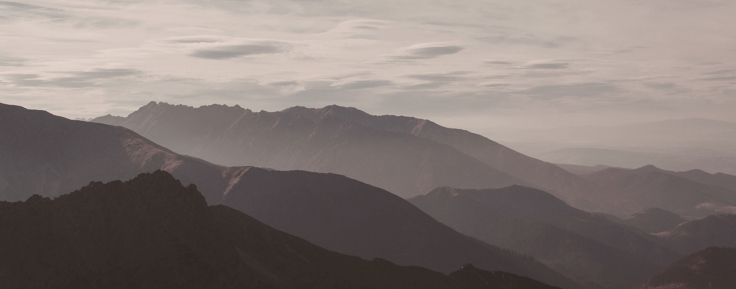 Survivor_Summit_Header_Photo_OutStory.jpg