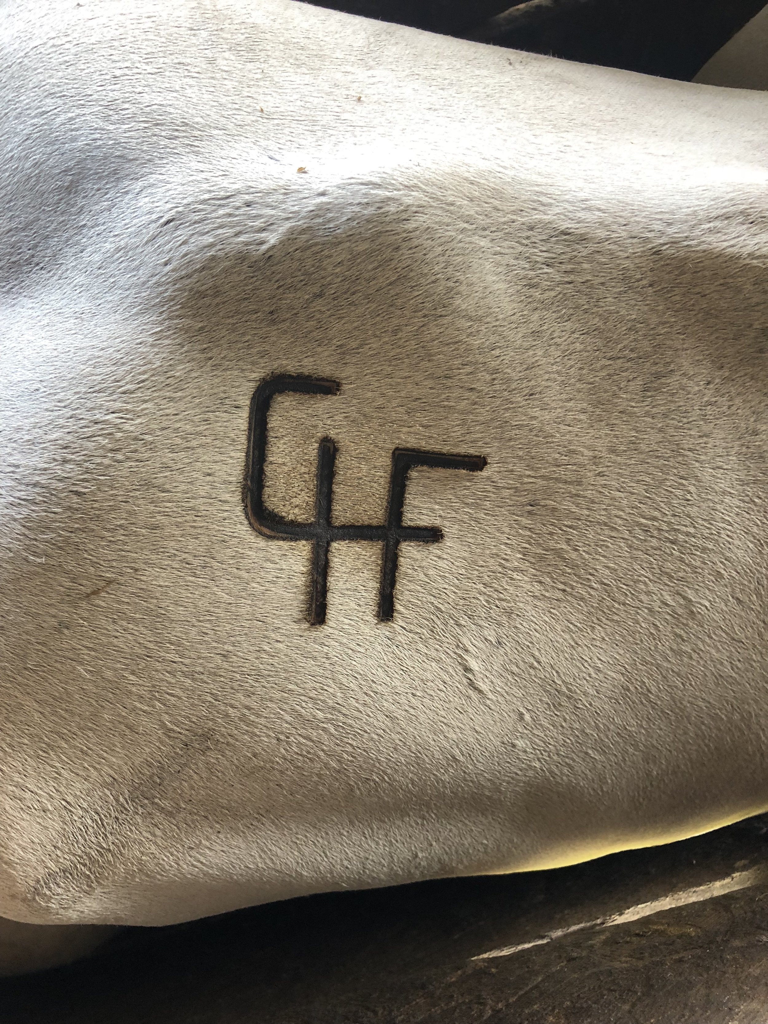 branded.jpg