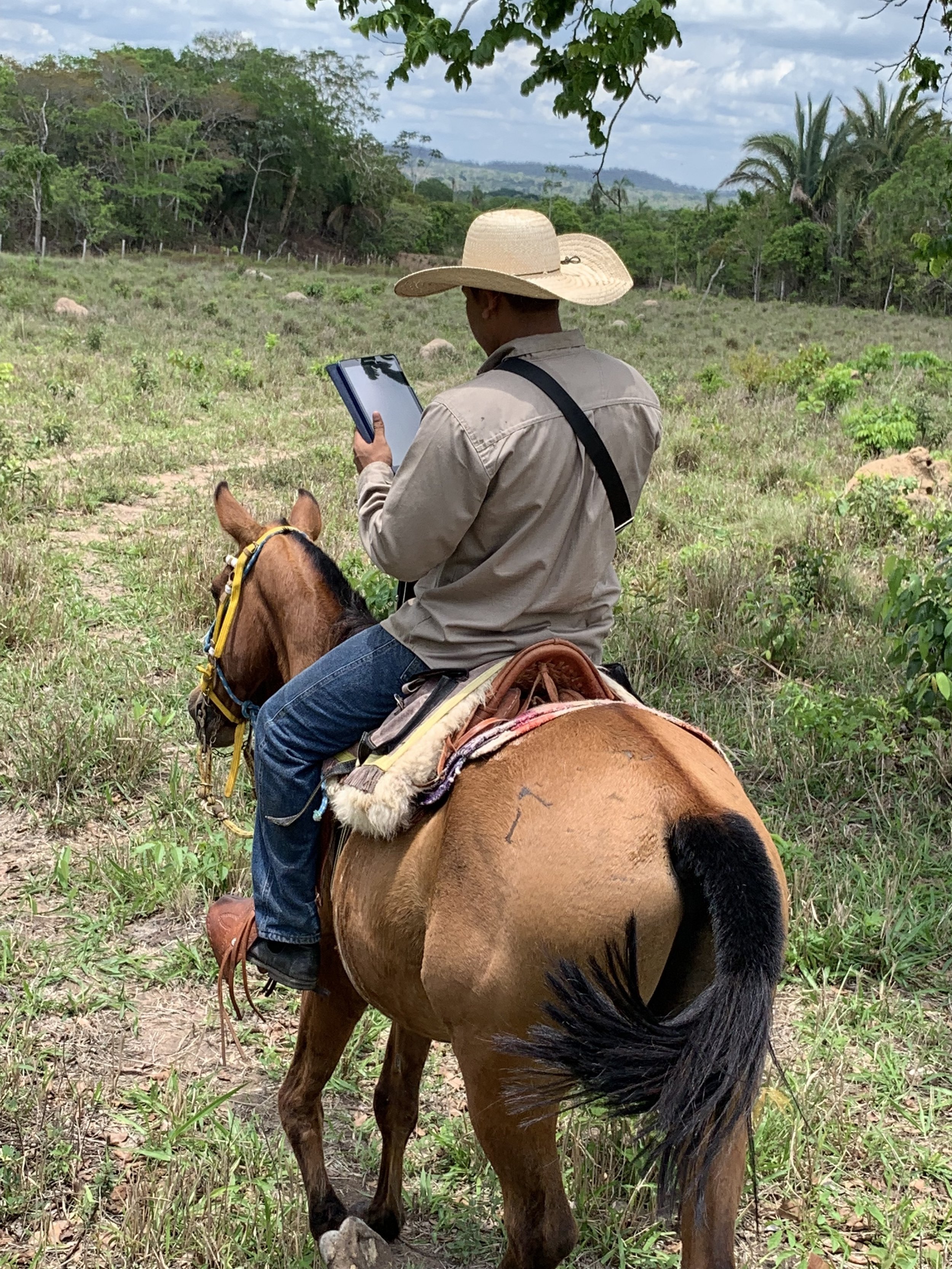 digital_cowboys.jpg
