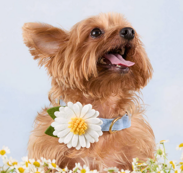 Screenshot 2026-02-27 135712.png