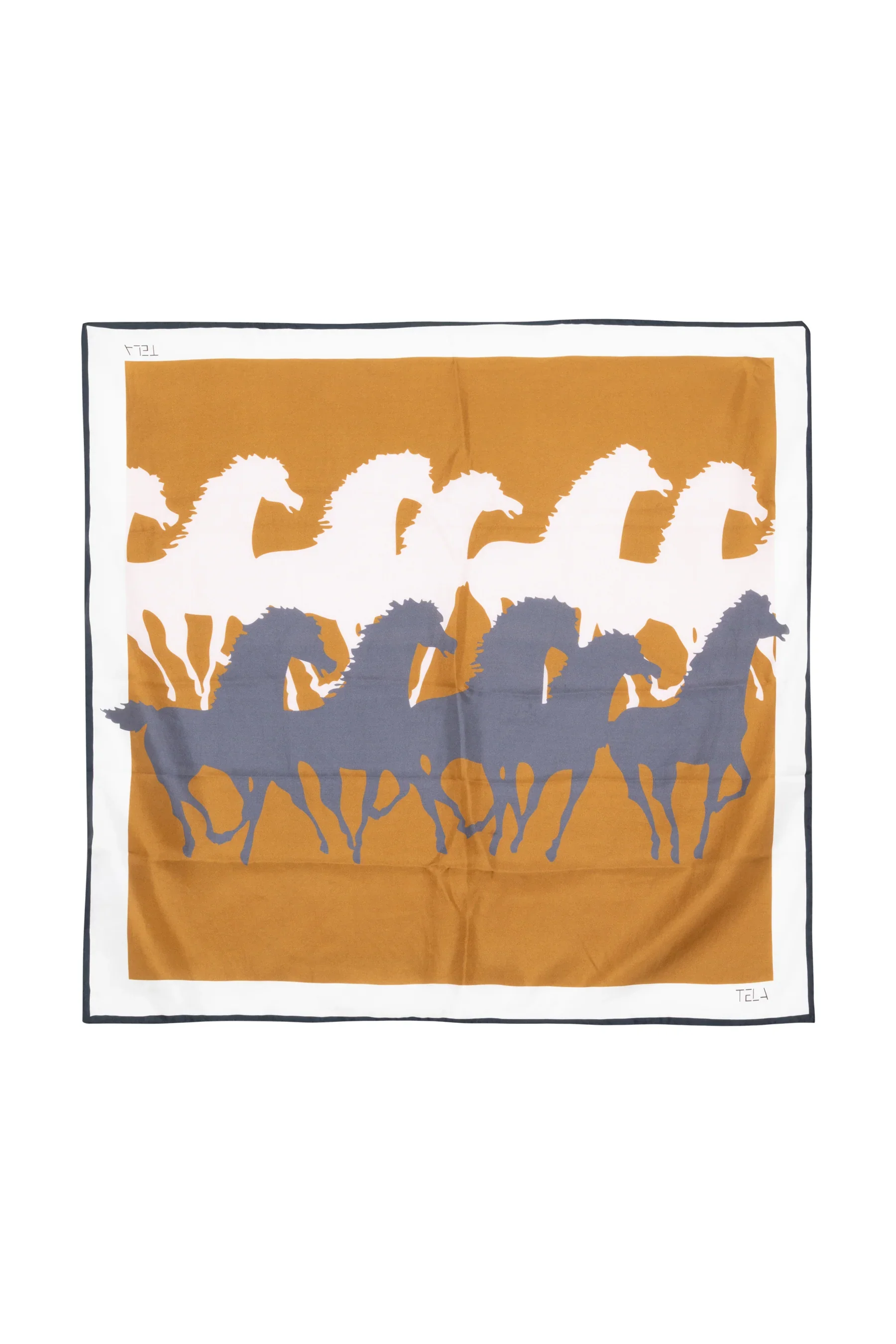 Horses3.webp