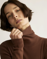 Clinton turtleneck