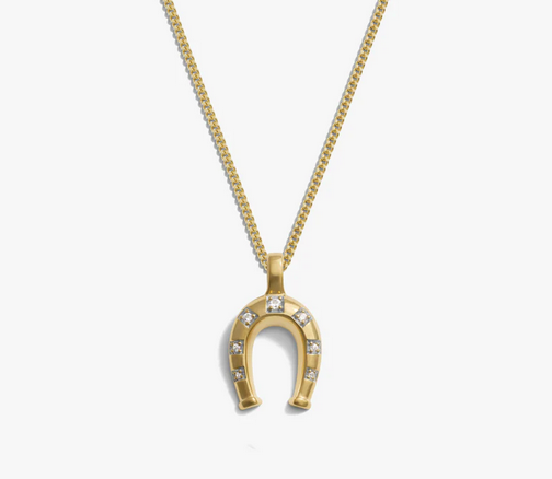 Horseshoe necklace