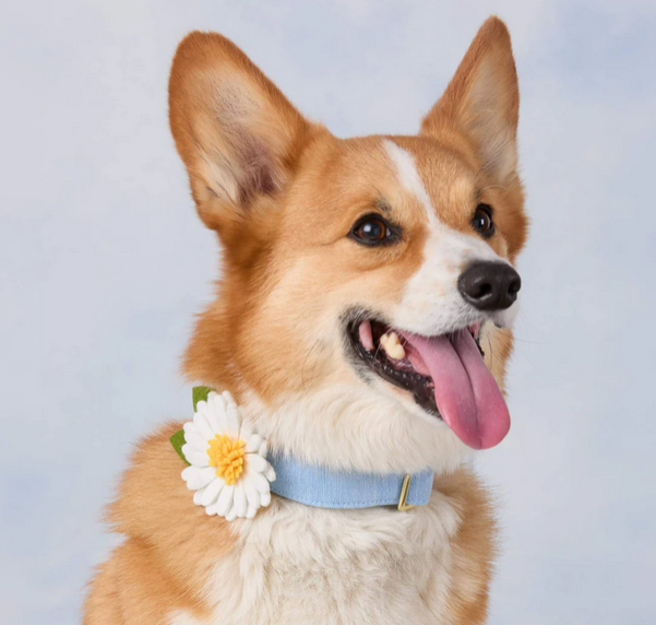 Screenshot 2026-02-27 135735.png