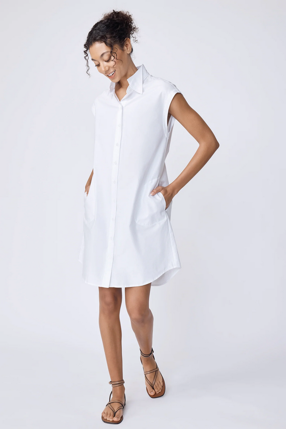 Screenshot 2026-03-13 at 11-53-43 Candice Double Collar Shirt Dress – KAL RIEMAN.png (Copy)