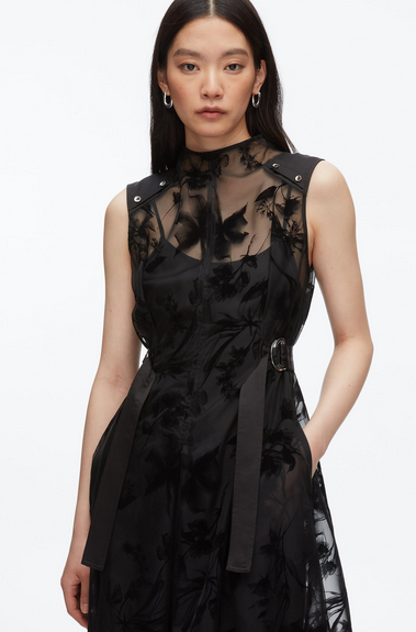 dress1.png