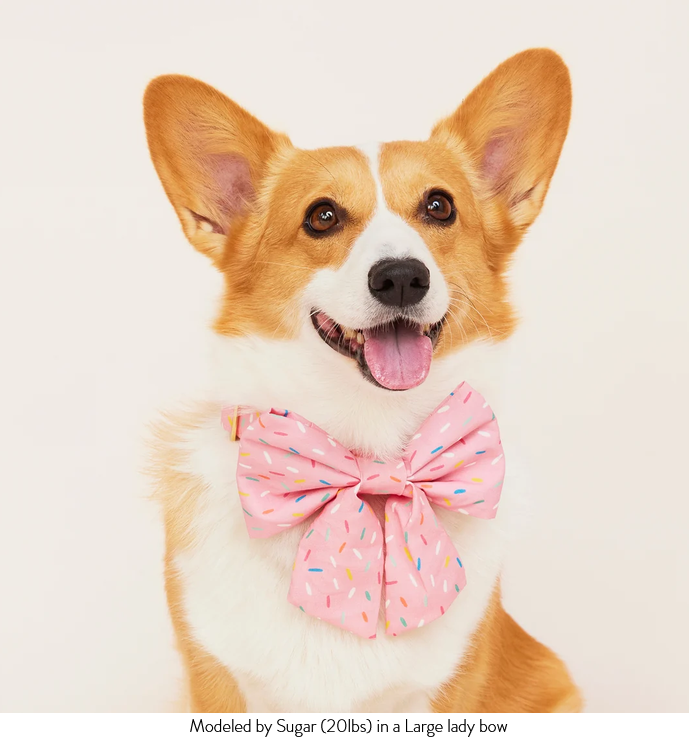 Screenshot 2026-08-23 at 14-40-10 Sprinkles Lady Dog Bow – The Foggy Dog.png