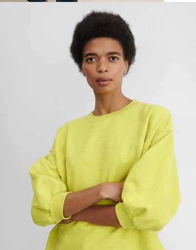 Screenshot 2026-09-04 at 14-16-16 Fond Sweatshirt.png (Copy)