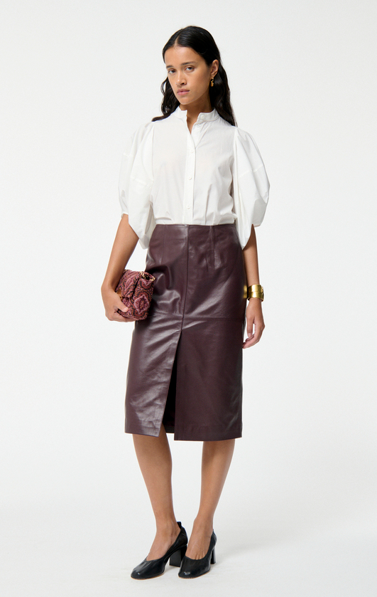skirt.png (Copy)
