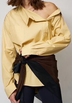 shirt.png (Copy)