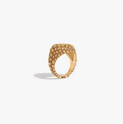 ring.png (Copy)