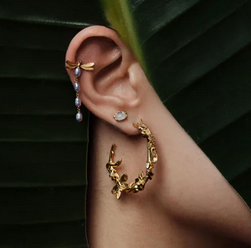 ear2.png (Copy)