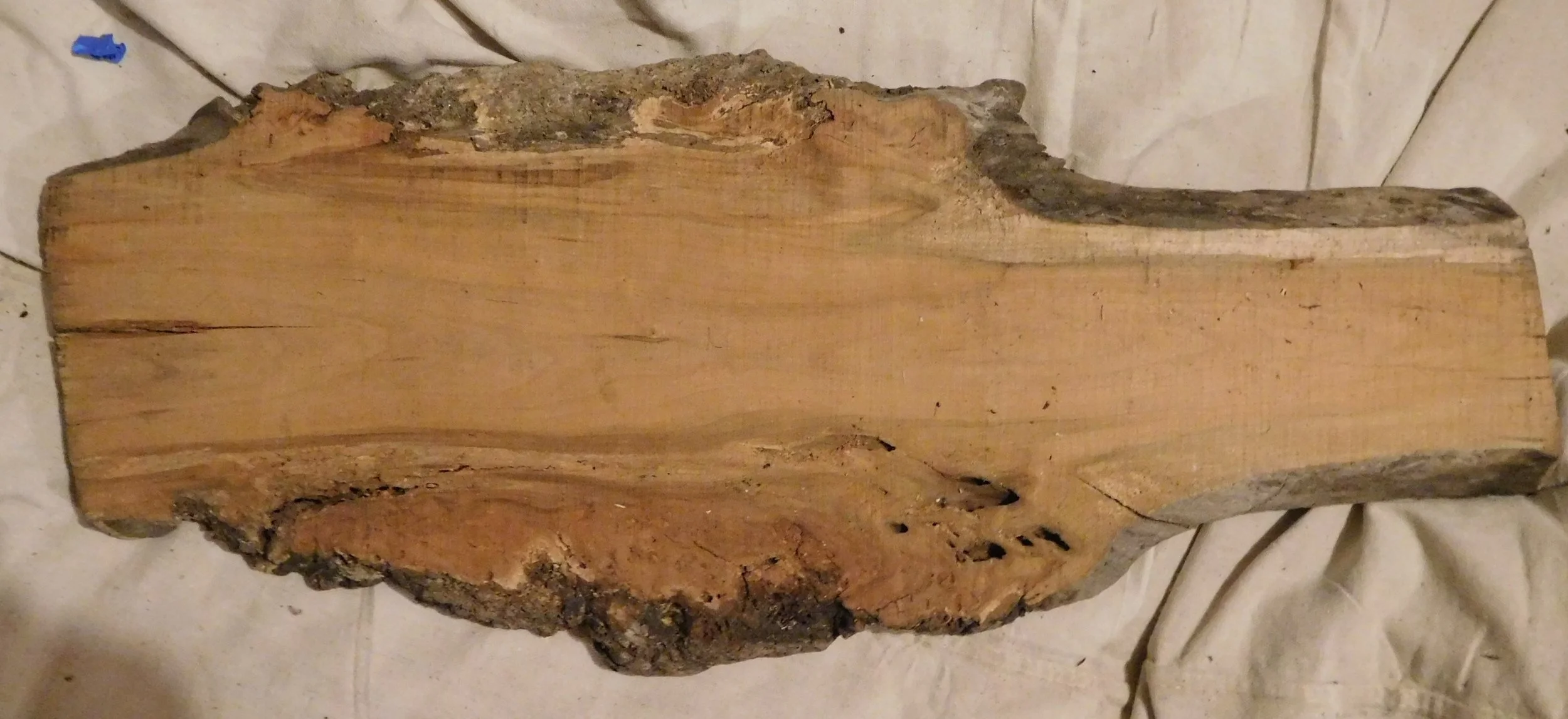 Cherry Burl 6 side B - 26" x 12.5"